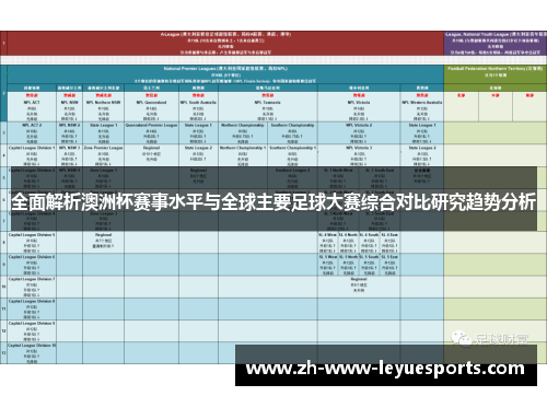 全面解析澳洲杯赛事水平与全球主要足球大赛综合对比研究趋势分析