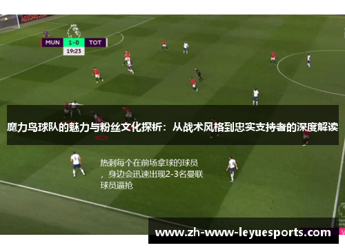 魔力鸟球队的魅力与粉丝文化探析：从战术风格到忠实支持者的深度解读