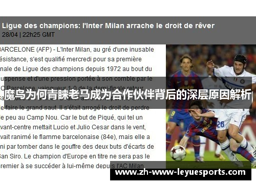 魔鸟为何青睐老马成为合作伙伴背后的深层原因解析