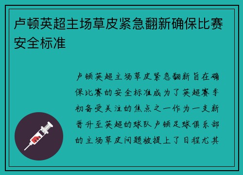 卢顿英超主场草皮紧急翻新确保比赛安全标准
